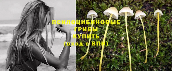 ПСИЛОЦИБИНОВЫЕ ГРИБЫ Беломорск