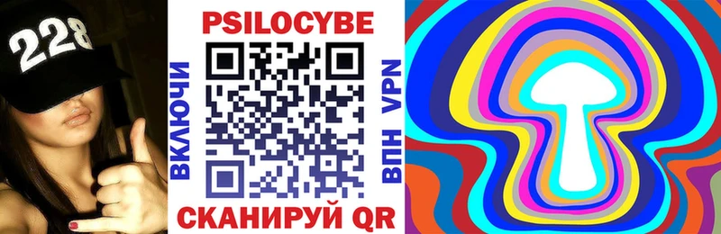 Купить  Чернушка  Галлюциногенные грибы GOLDEN TEACHER 